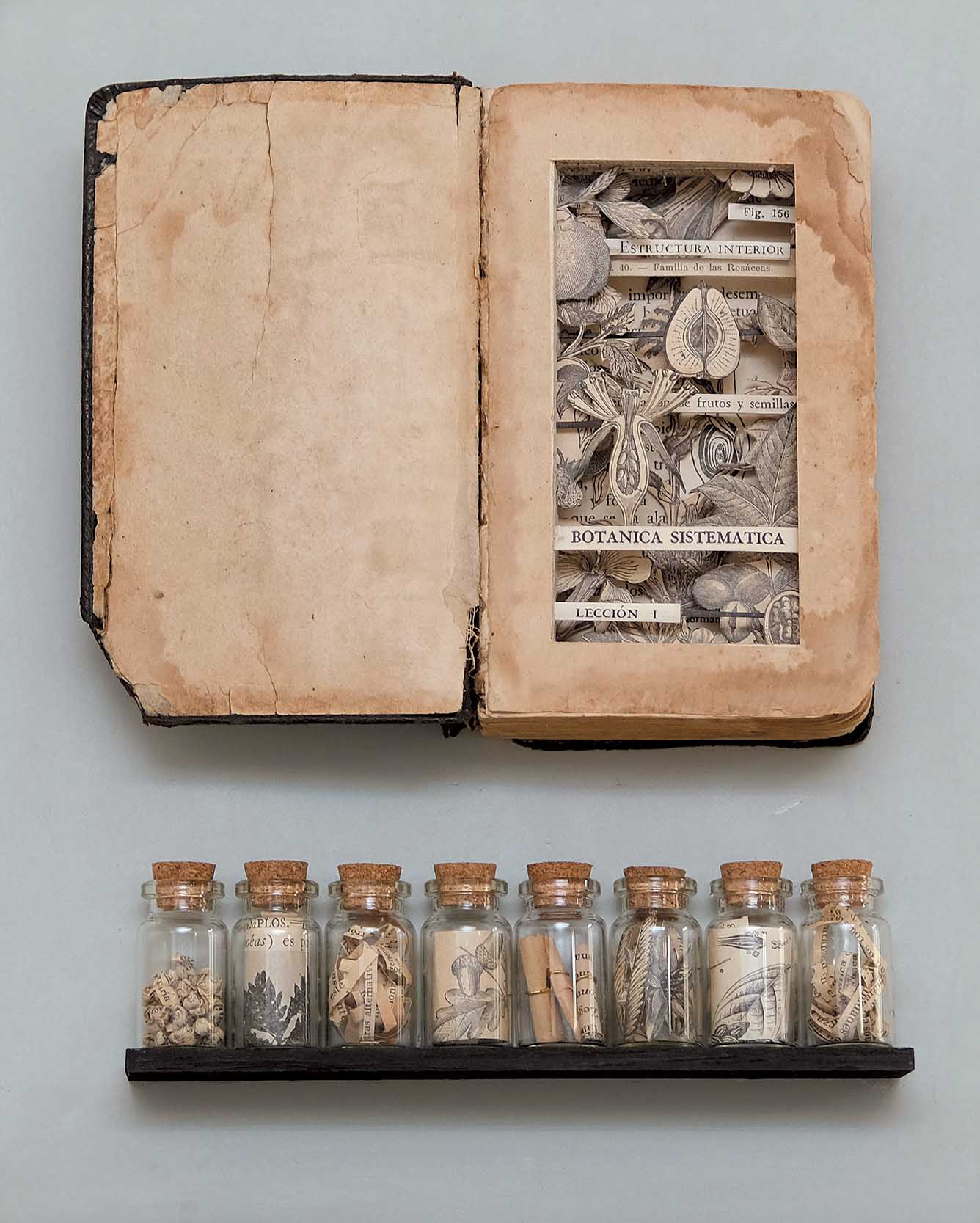 Botanica Sistémica, libro intervenido collage