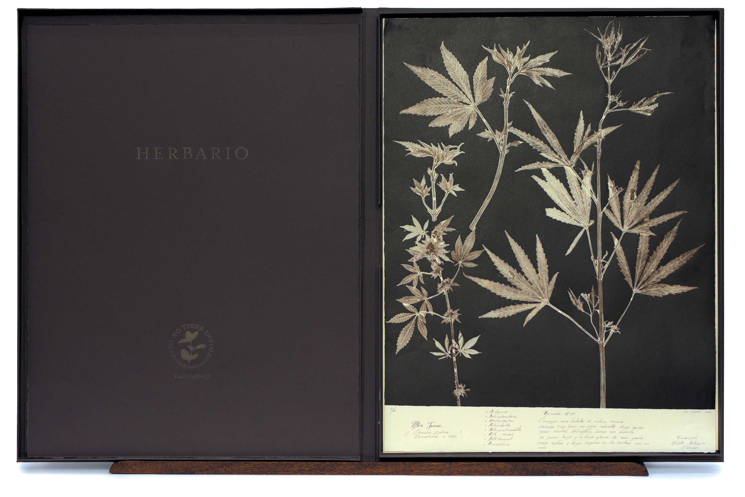 Herbario, caja de conservación